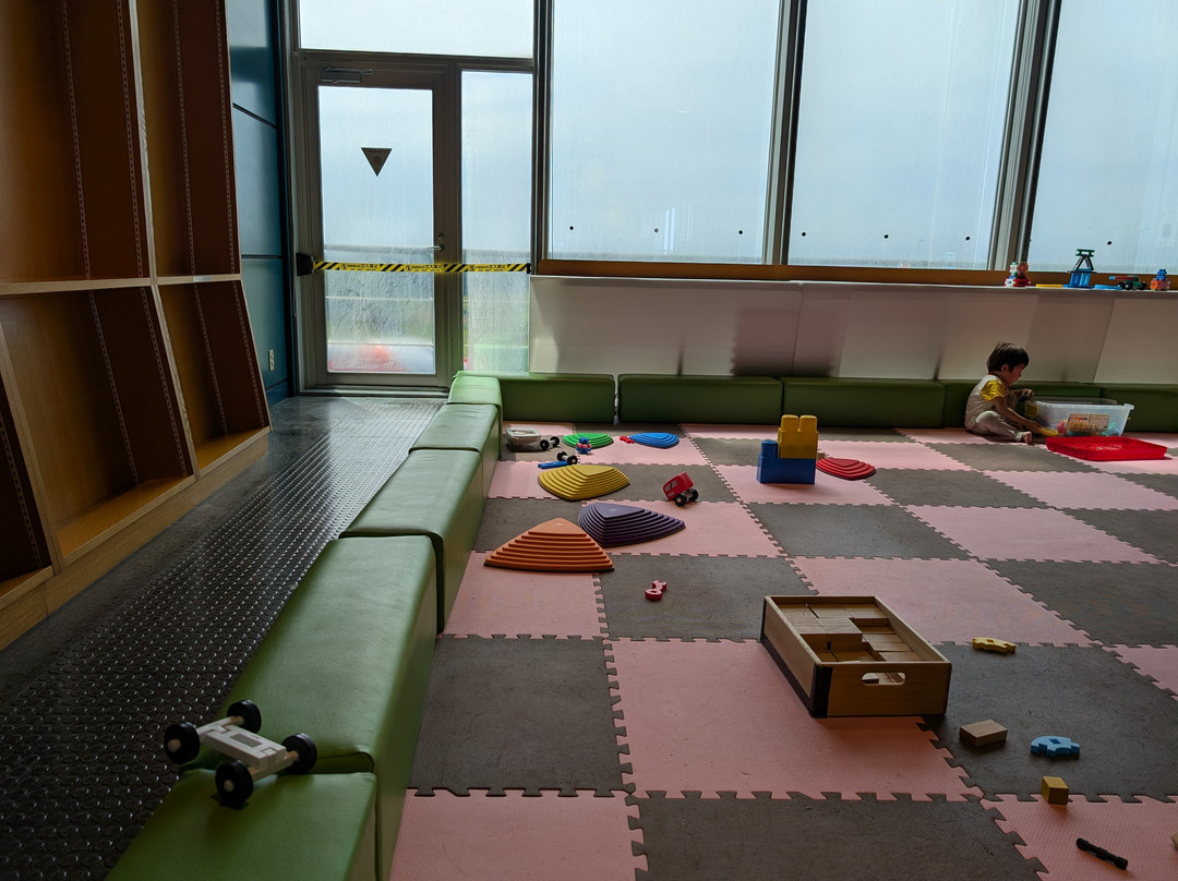 Hamamatsu Air Park-滨松市必去景点