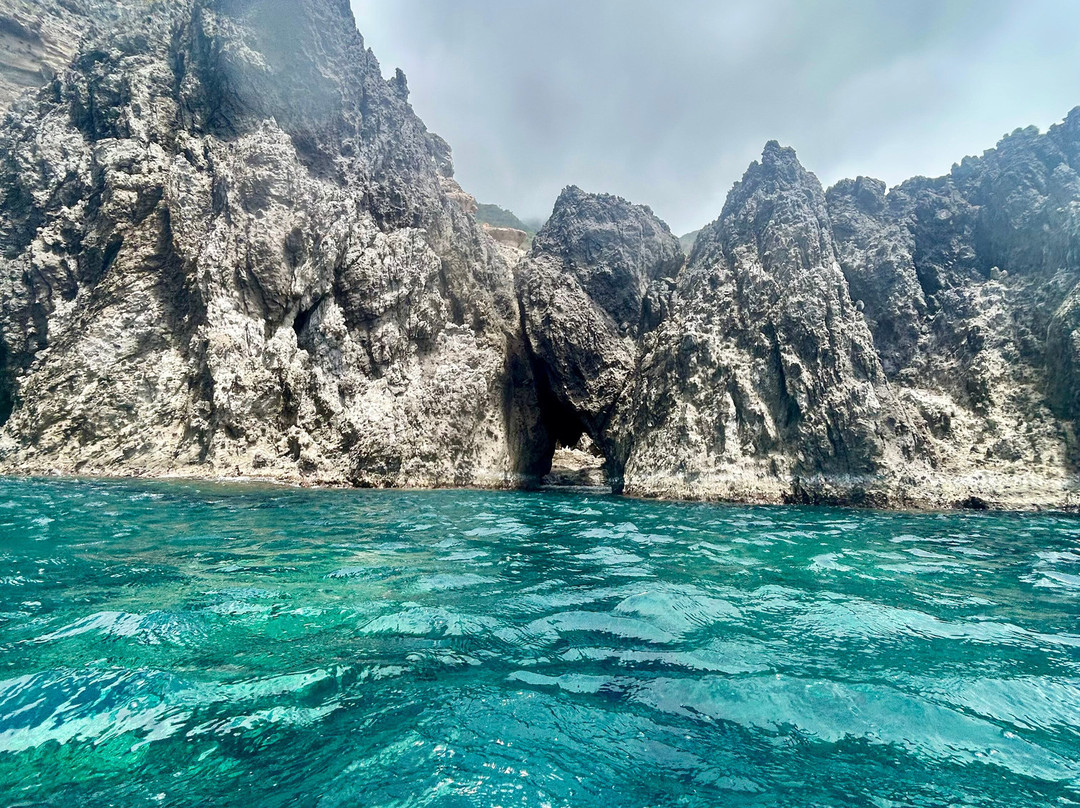 Sea Saba Dive Center-Windwardside必去景点