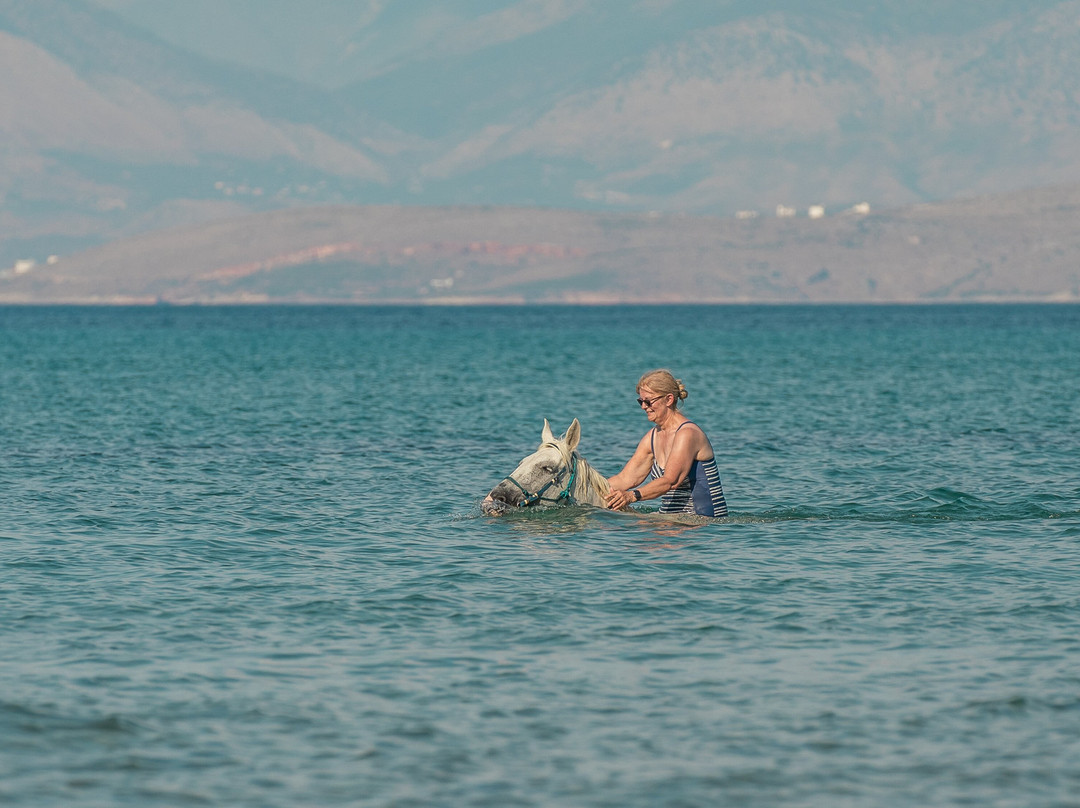 North Corfu Horses-Peritheia必去景点