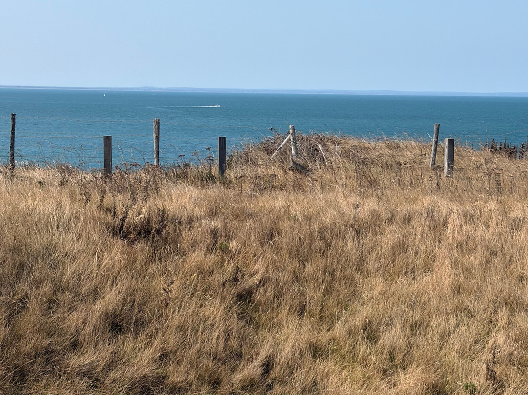 Pointe du Hoc-Cricqueville-en-Bessin必去景点