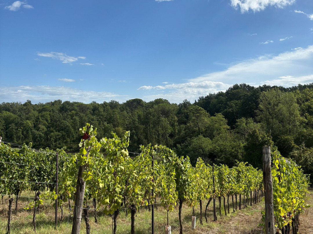 Poggio al Bosco-Chiostrini必去景点