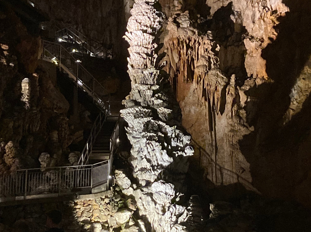 Grotta Gigante-Borgo Grotta Gigante必去景点