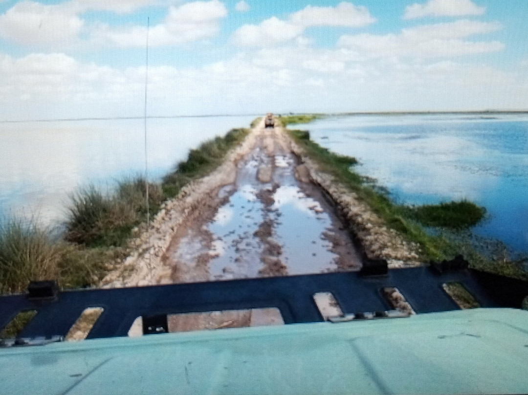 Amboseli National Park-Amboseli Eco-system必去景点