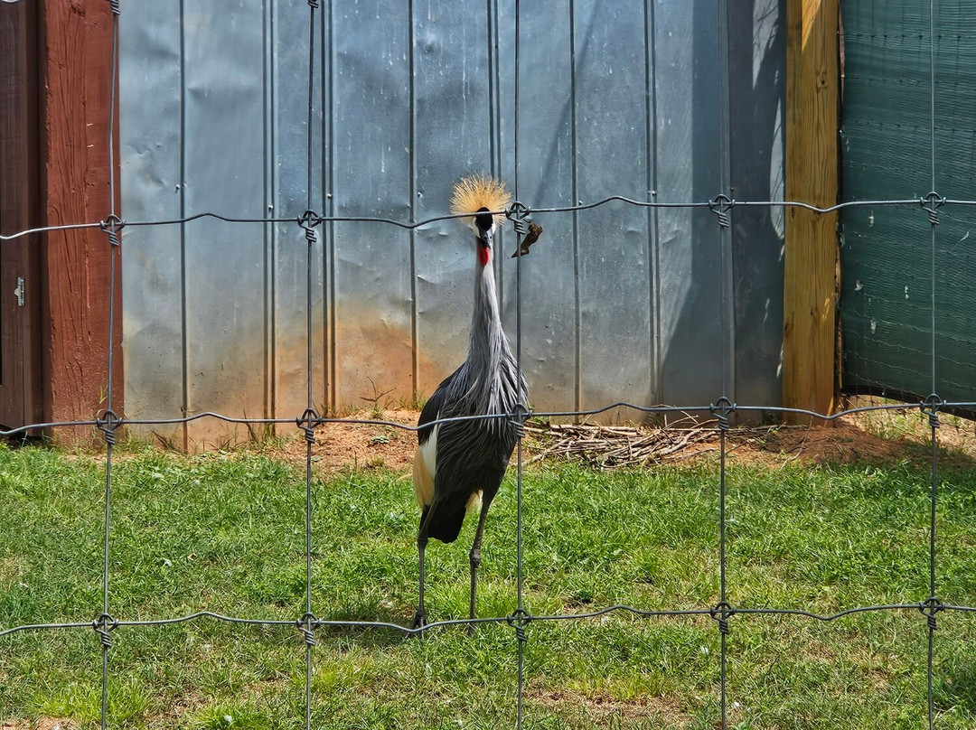 Georgia Untamed Zoo-Hogansville必去景点