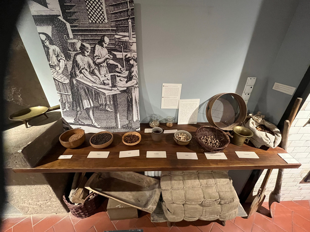 The Living Museum of Gingerbread-托伦古镇必去景点