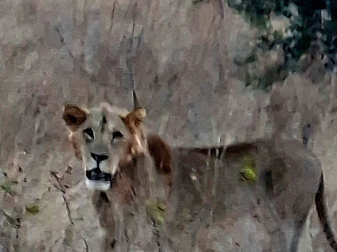 Top Africa Safaris-迪亚尼必去景点