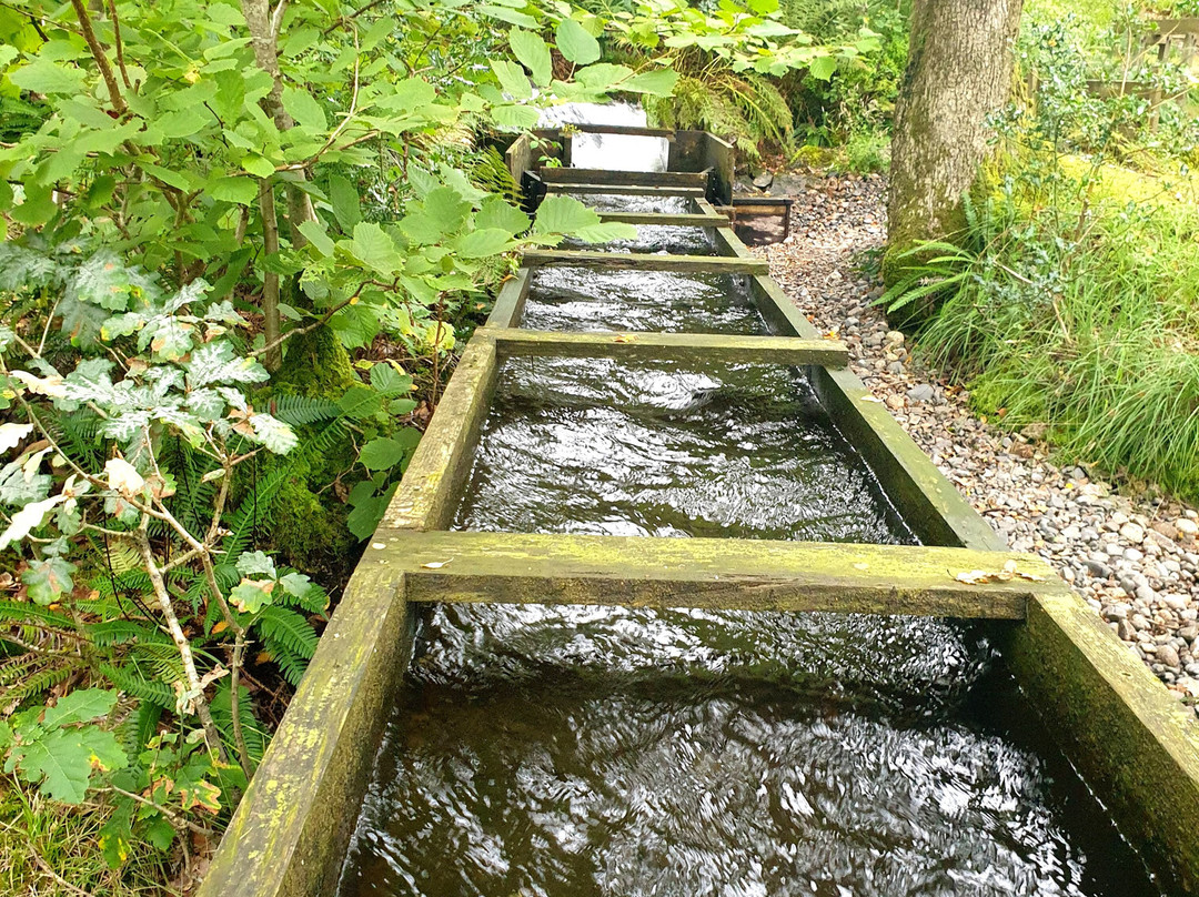 Eskdale Mill-Boot必去景点