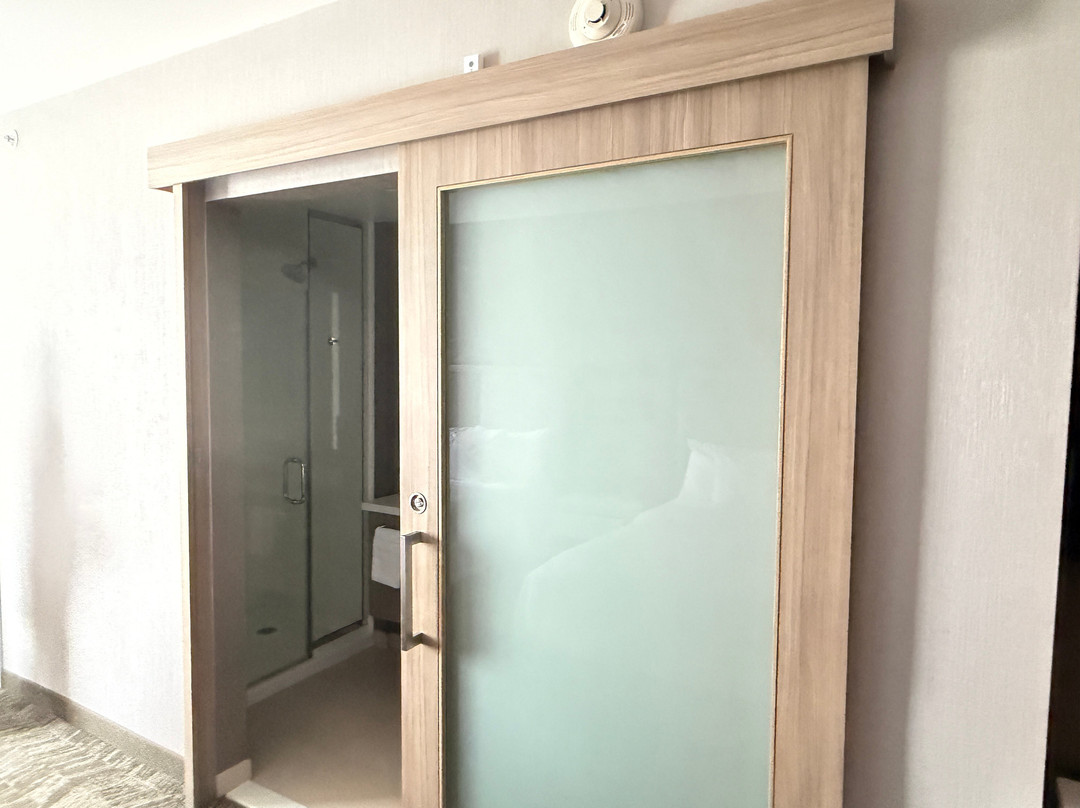 钱伯斯堡万豪SpringHill Suites酒店主图