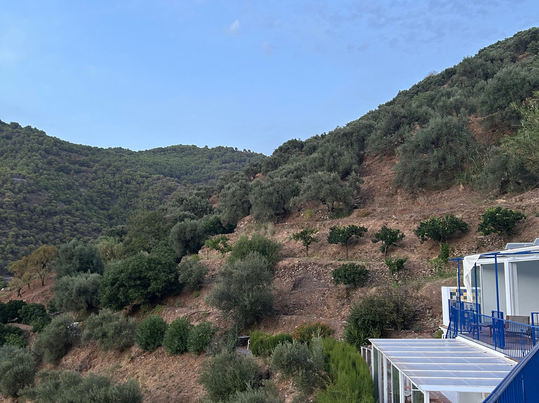 Finca Floretta主图