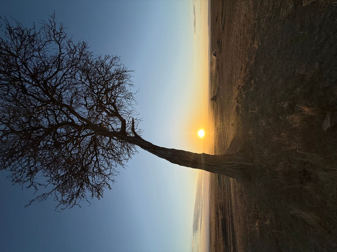 Gattokko - Safari e Tours in Kenya-瓦塔木必去景点