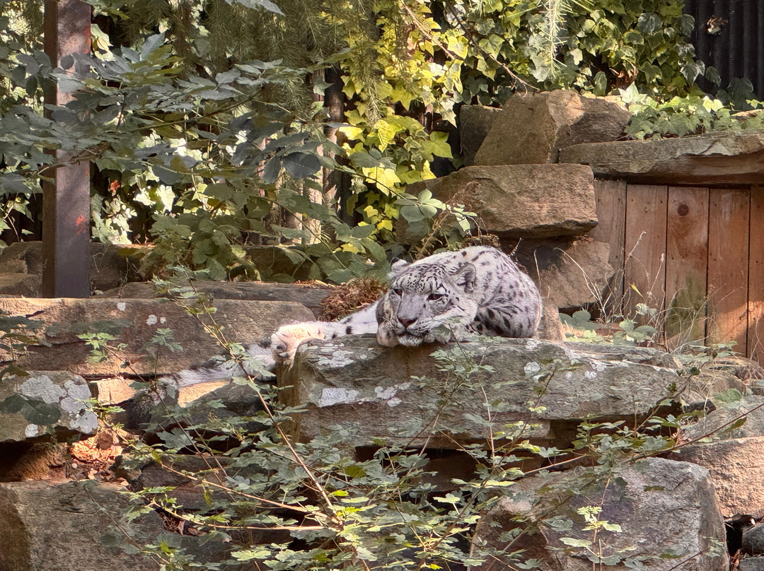 Hertfordshire Zoo-布罗克斯本必去景点