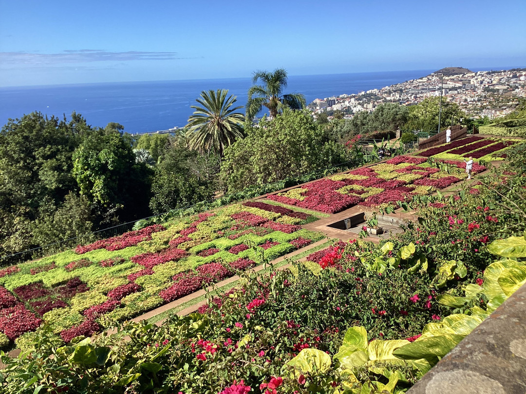 Madeira Botanical Garden-沙尔必去景点