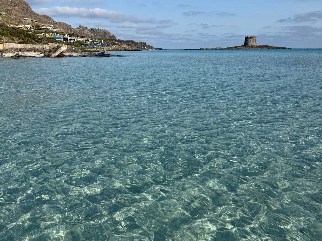La Pelosa Beach-斯廷蒂诺必去景点