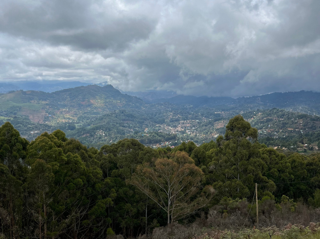Usambara Mountains-Nkongoi必去景点