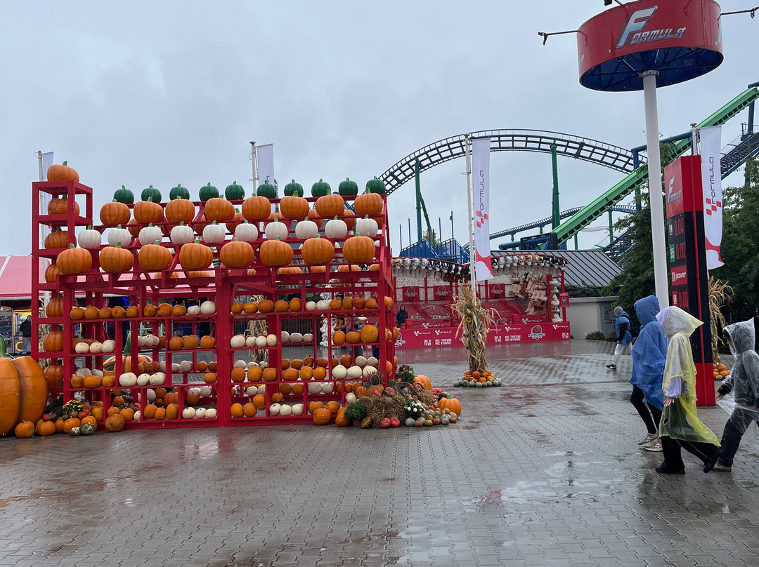 Energylandia-Zator必去景点