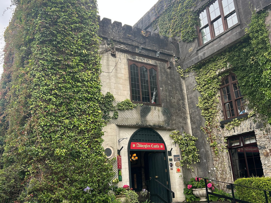 阿贝伦城堡酒店主图