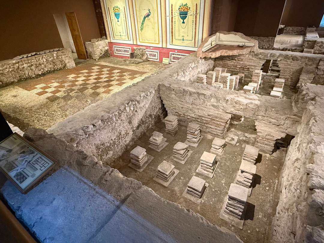 Newport Roman Villa-纽波特必去景点