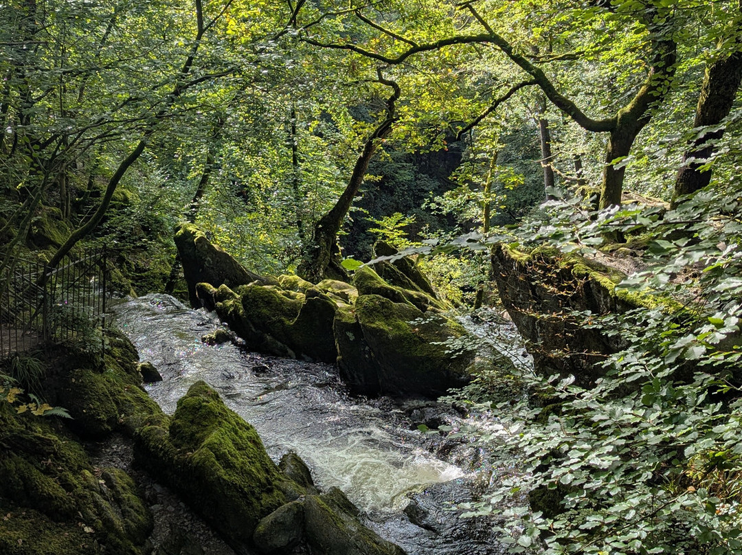 Stock Ghyll Force-安布赛德必去景点