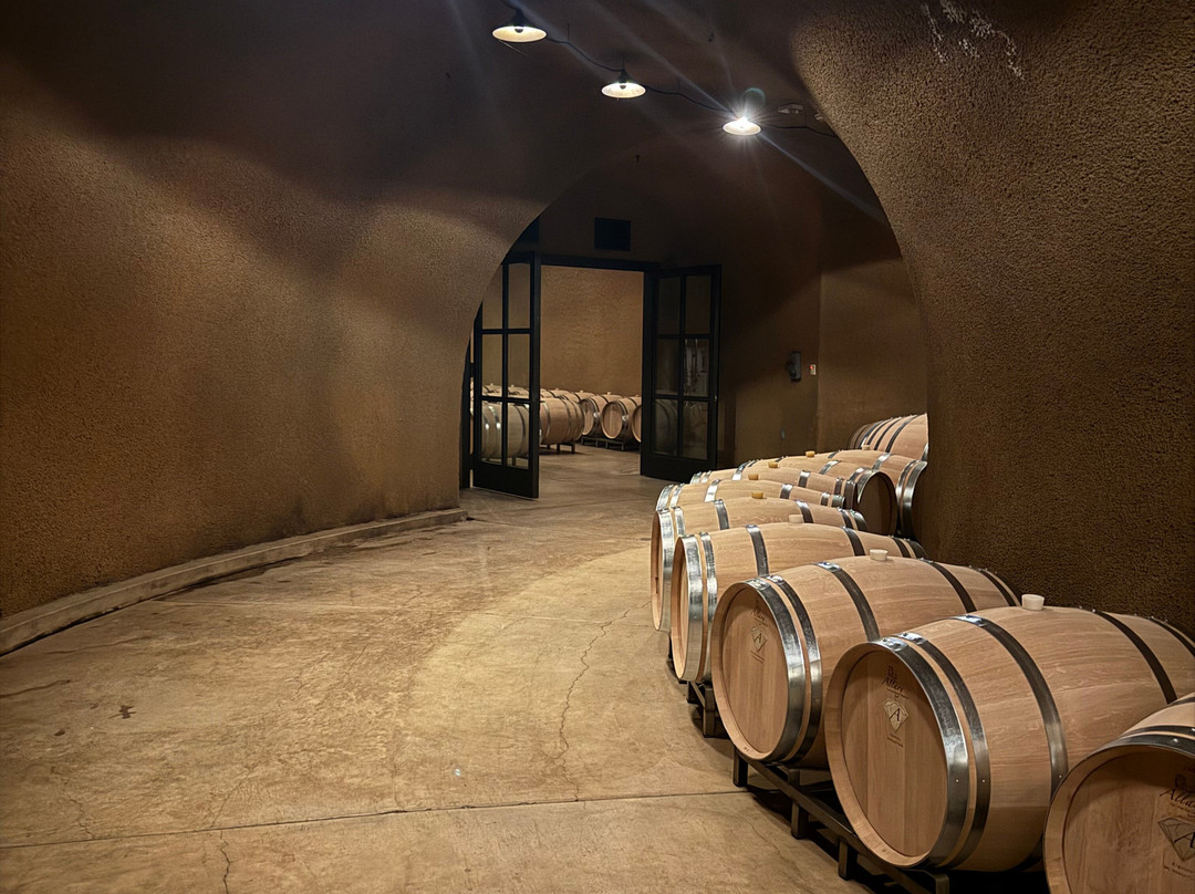 Napa Valley Tours - Why Spit-纳帕必去景点