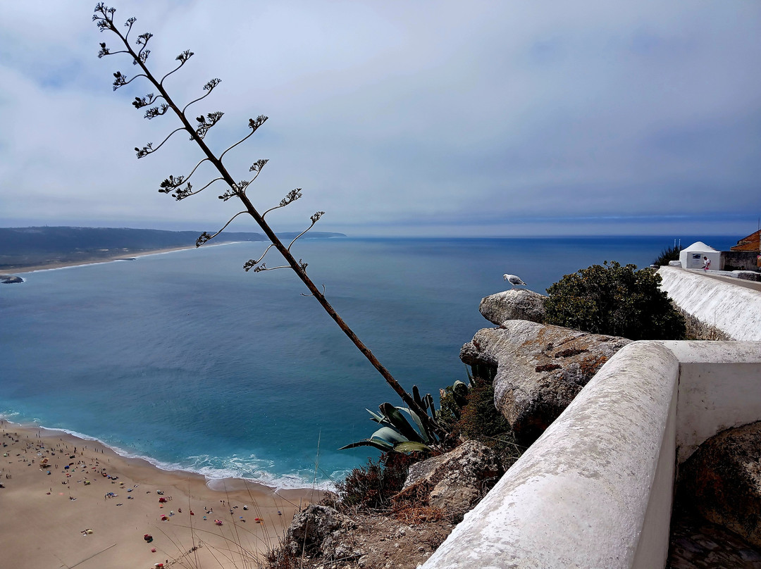 Nazaré Funicular-纳扎雷必去景点