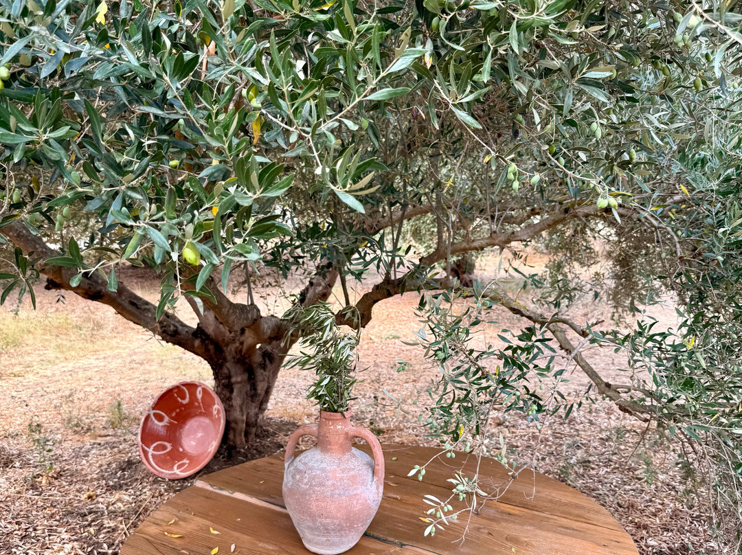 Olive Oil Experience Crete-Peza必去景点