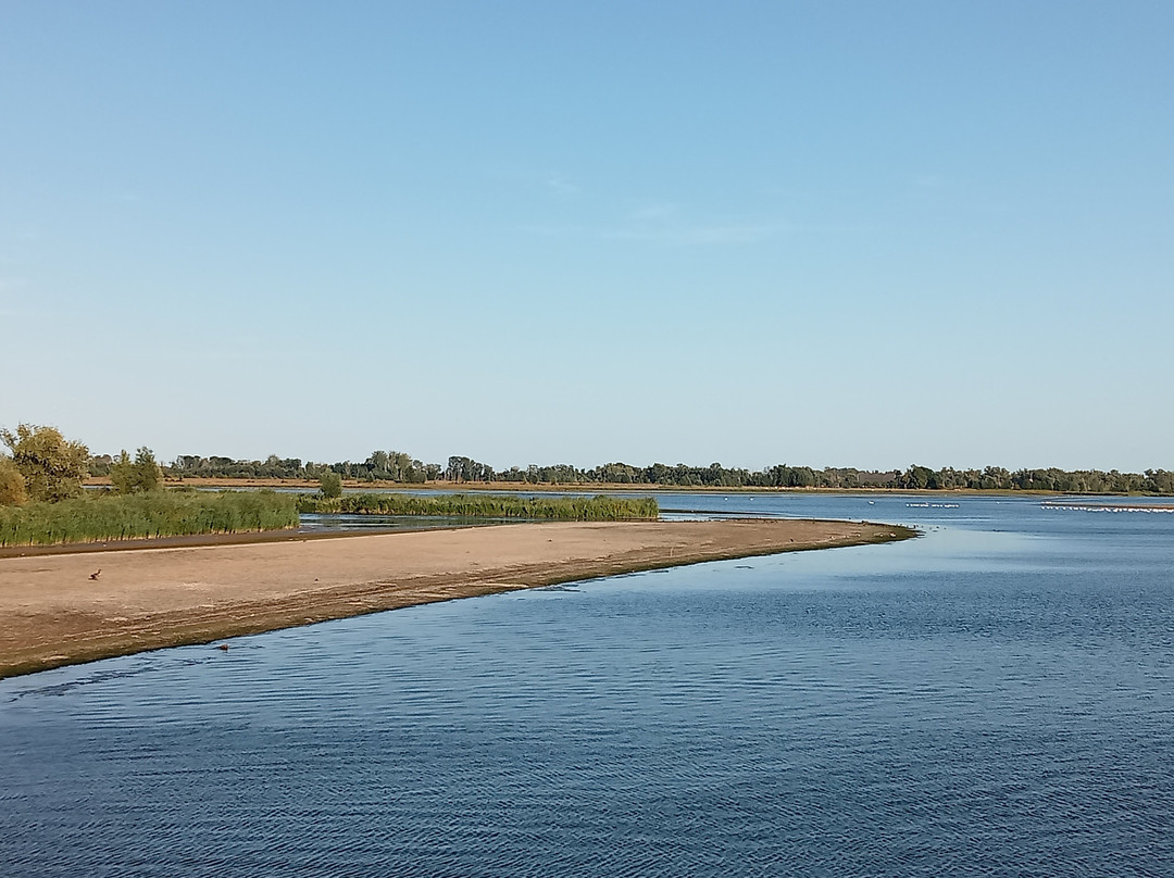 Biesbosch Nationaal Park