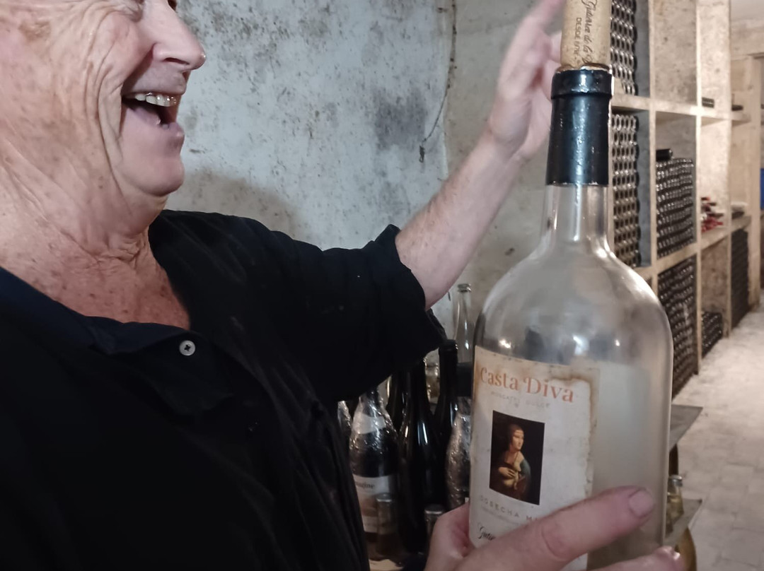 Bodegas Gutierrez de la Vega Casta Diva-Parcent必去景点