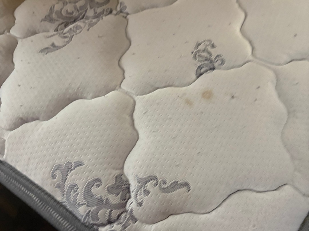 林肯新维多利亚套房酒店主图