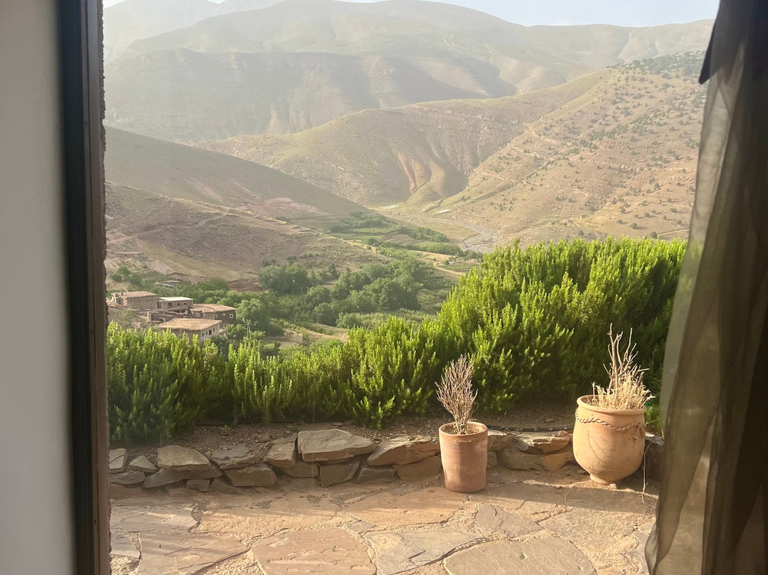 托达生态小屋旅馆主图