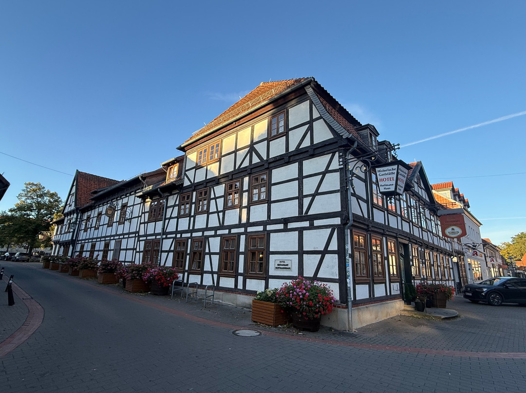 Hoffmannhaus Hotel主图