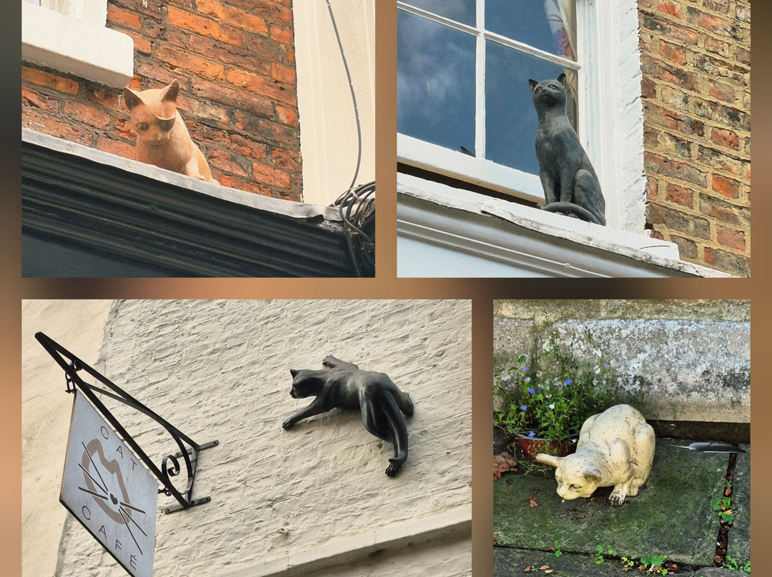 York Cat Trail-约克必去景点