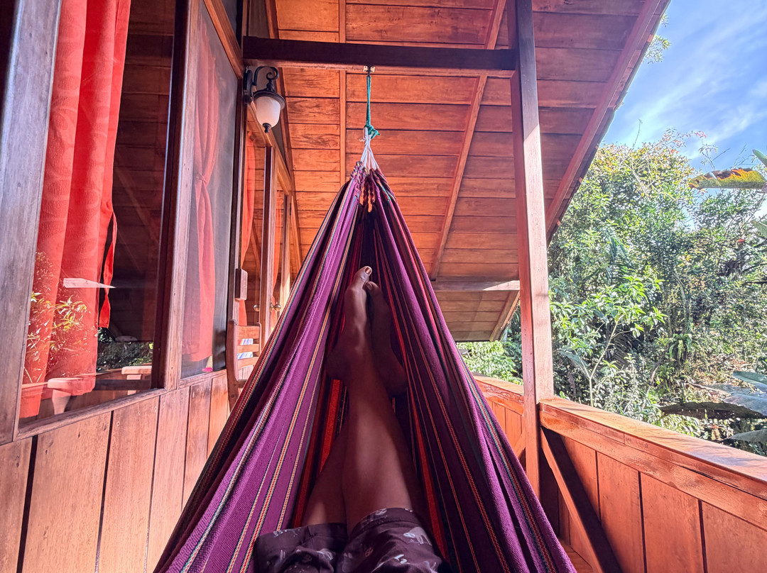 迪威那之家生态郊外小屋主图