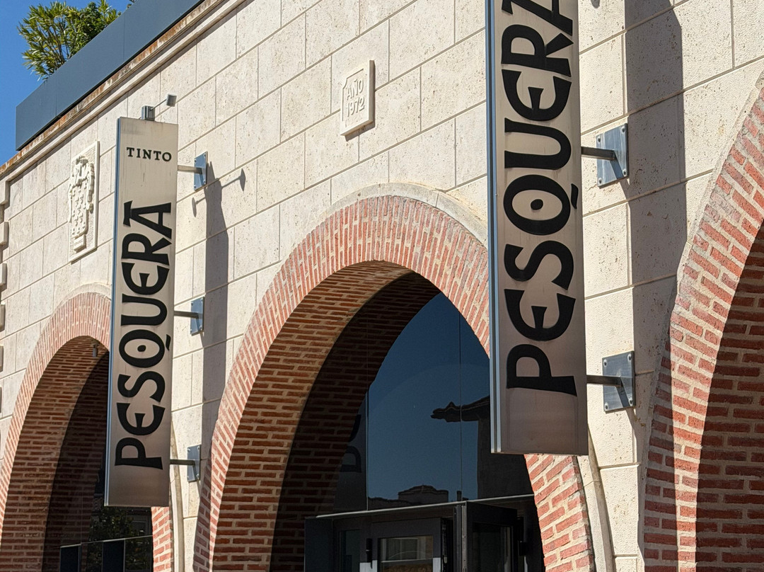 Bodega Tinto Pesquera-Pesquera de Duero必去景点