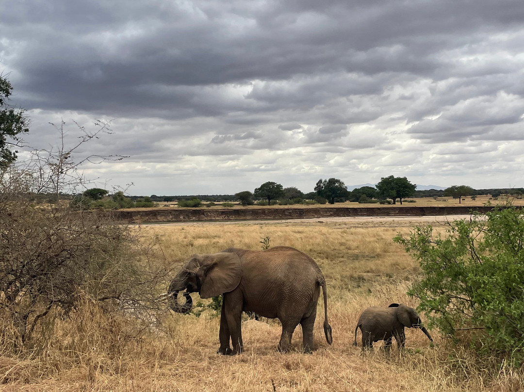 Unlimited Expeditions - The Soul Of Tanzania-阿鲁沙必去景点