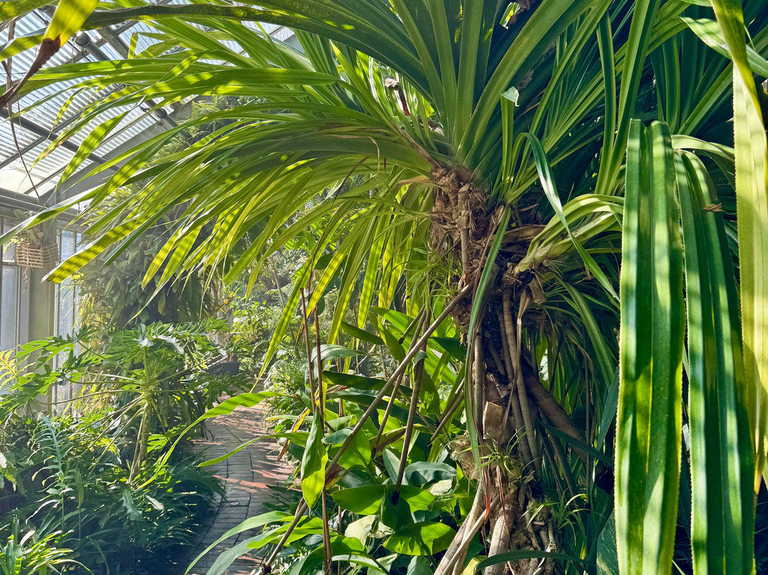 Oldenburger Schlossgarten-奥尔登堡必去景点