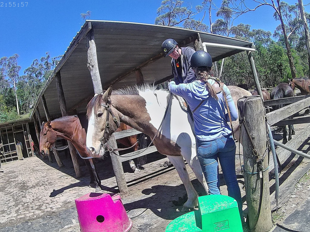 Spring Creek Horse Rides-贝尔布拉必去景点