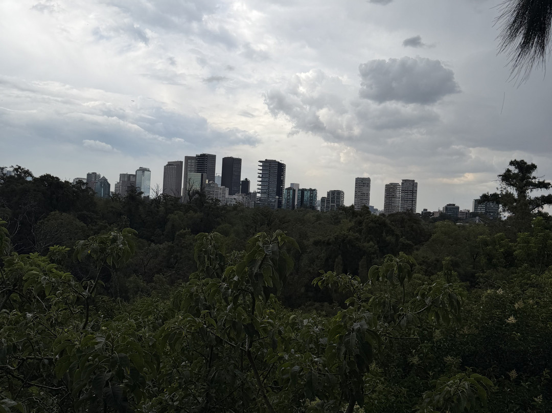 Chapultepec Forest-墨西哥城必去景点