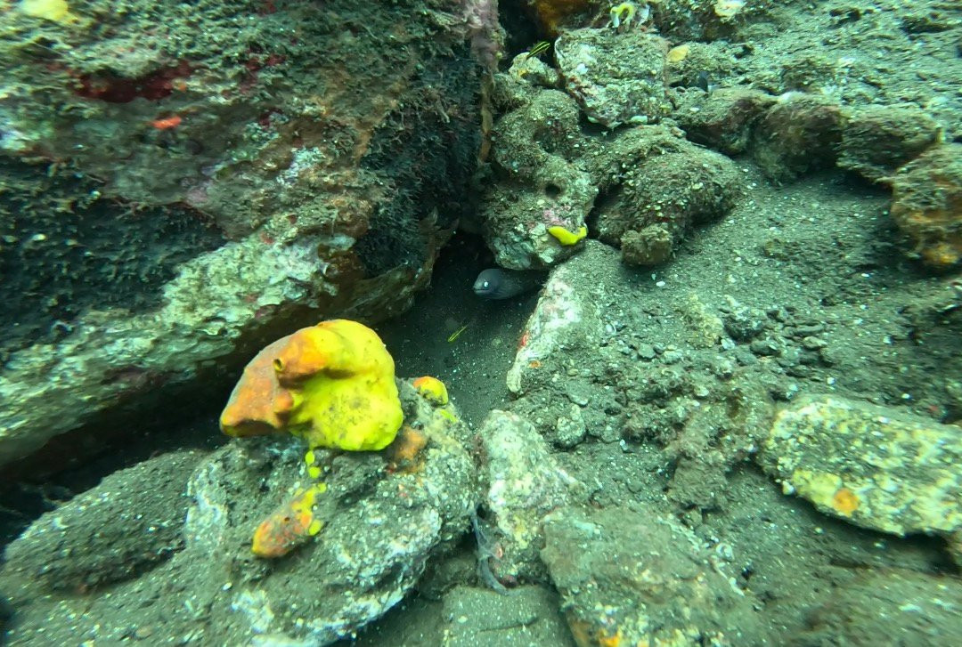 Bali Elite Scuba Team-图兰本必去景点