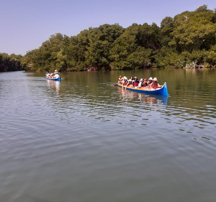 Ciénaga la Caimanera-Covenas必去景点