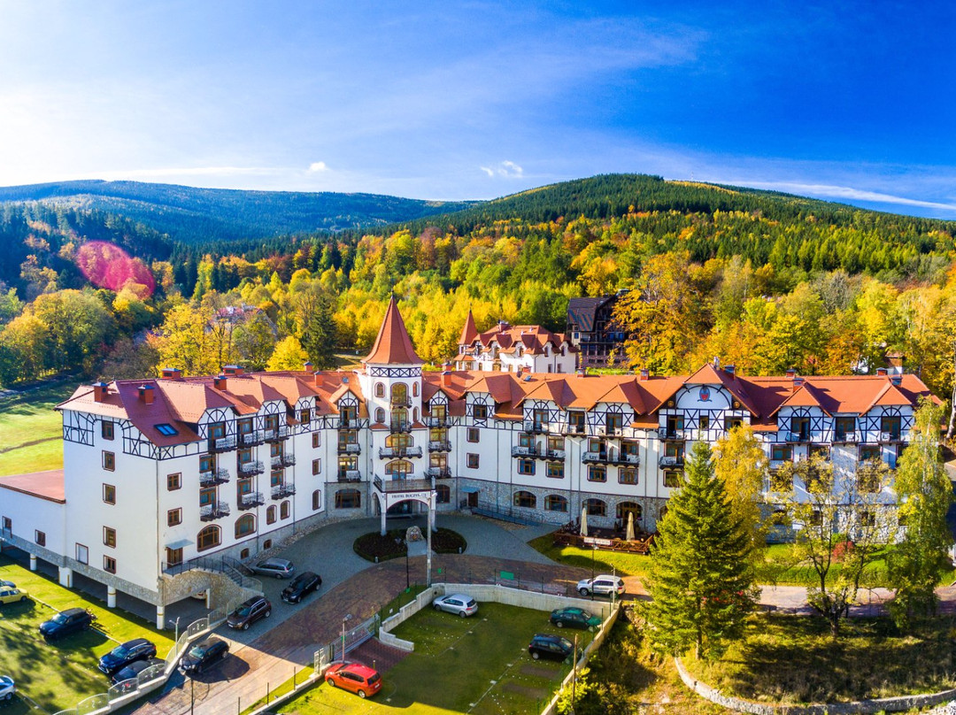 Swieradow Zdroj酒店住宿-Hotel Buczynski Medical&SPA