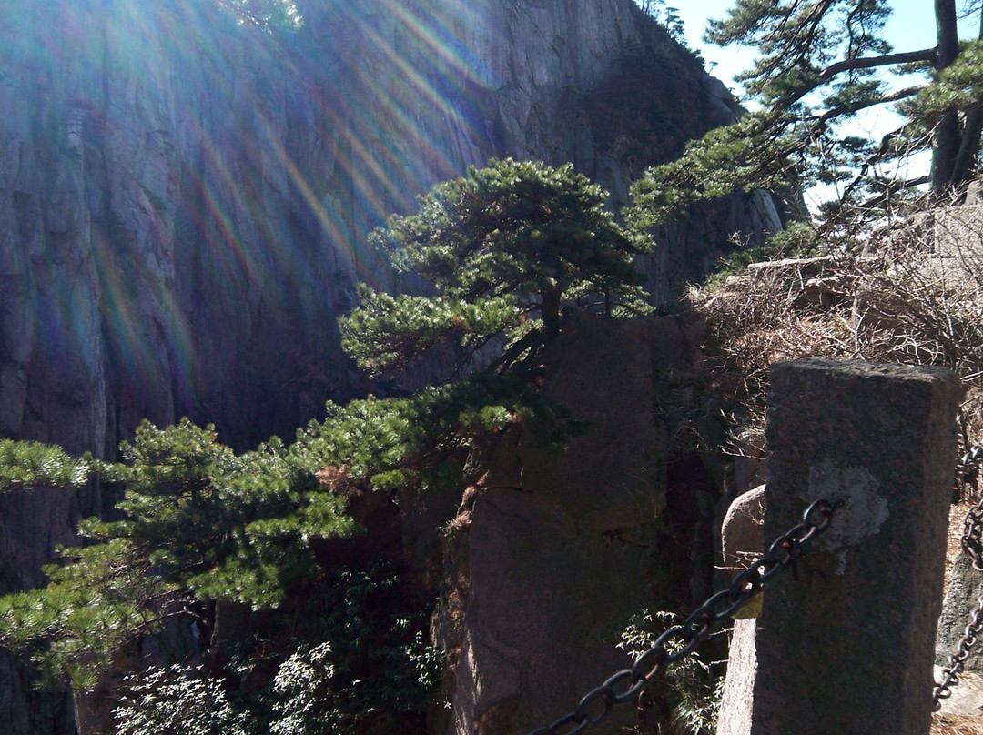 黄山休宁农业高科技园