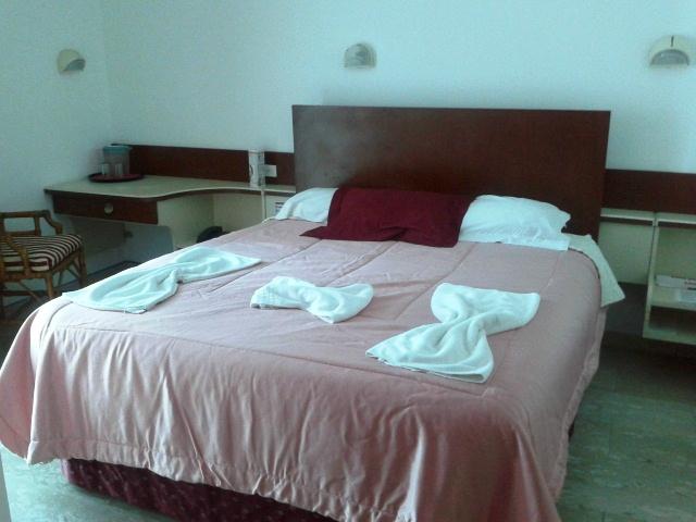 Embajador Hotel-客卧