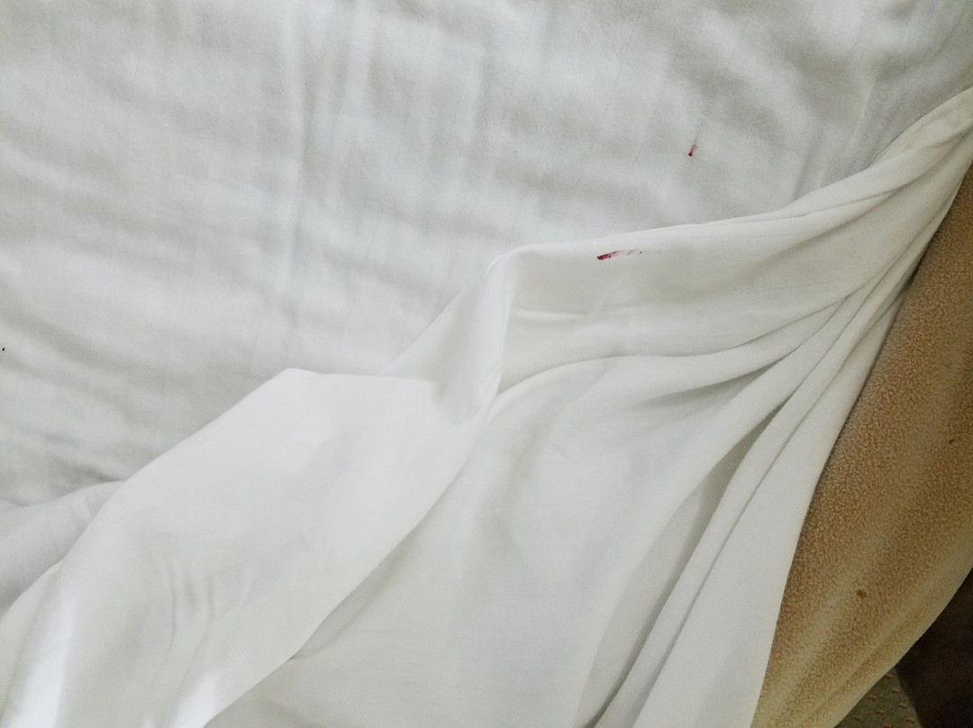 Aiken酒店住宿-Executive Inn