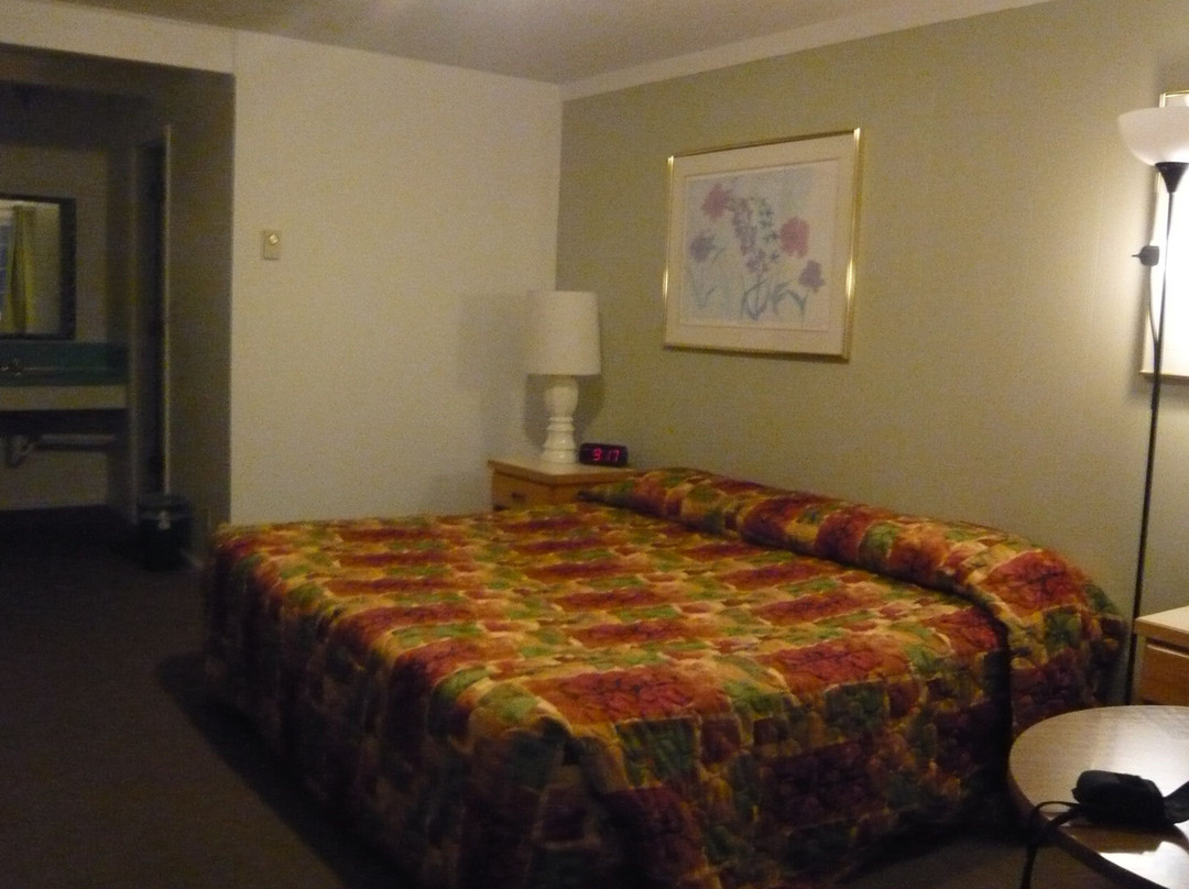 戈尔德比奇酒店住宿-Motel 101