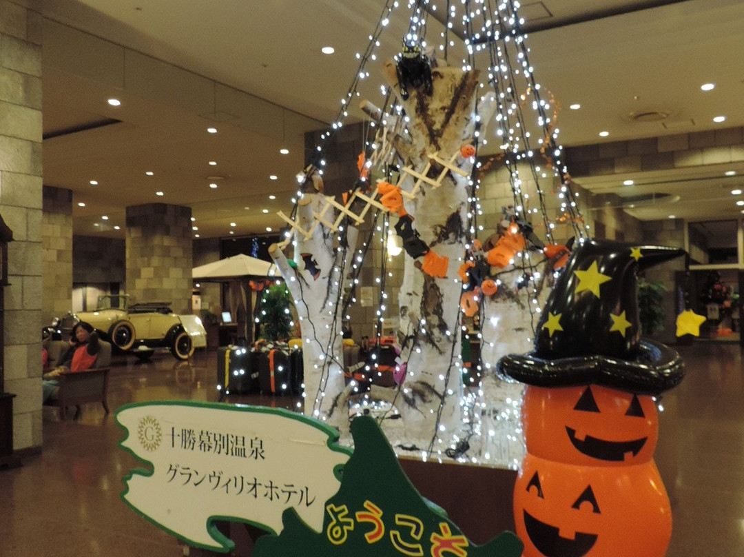 幕别町酒店住宿-北海道欧森格兰迪维利奥酒店