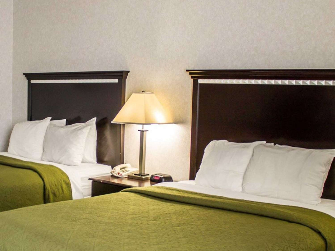 Quality Inn & Suites主图