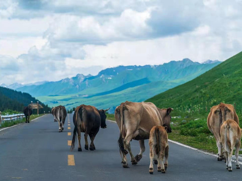 China Tours-乌鲁木齐市必去景点