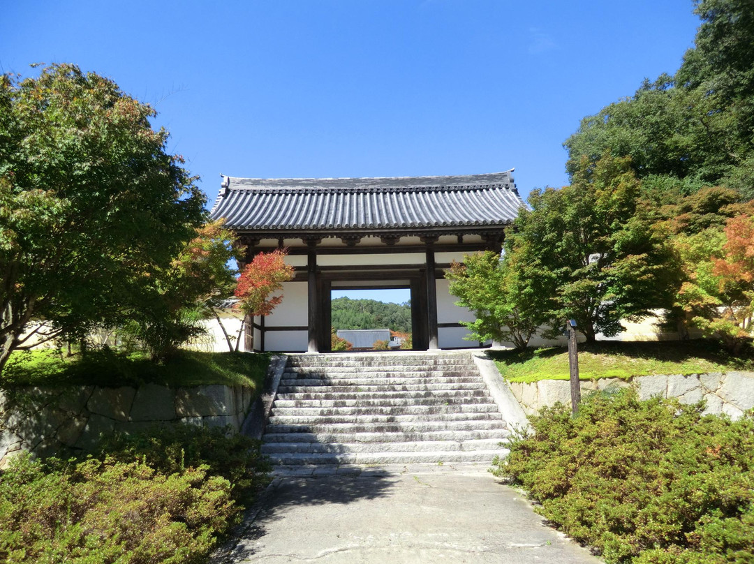 Koshinjino Yu Yukkura主图