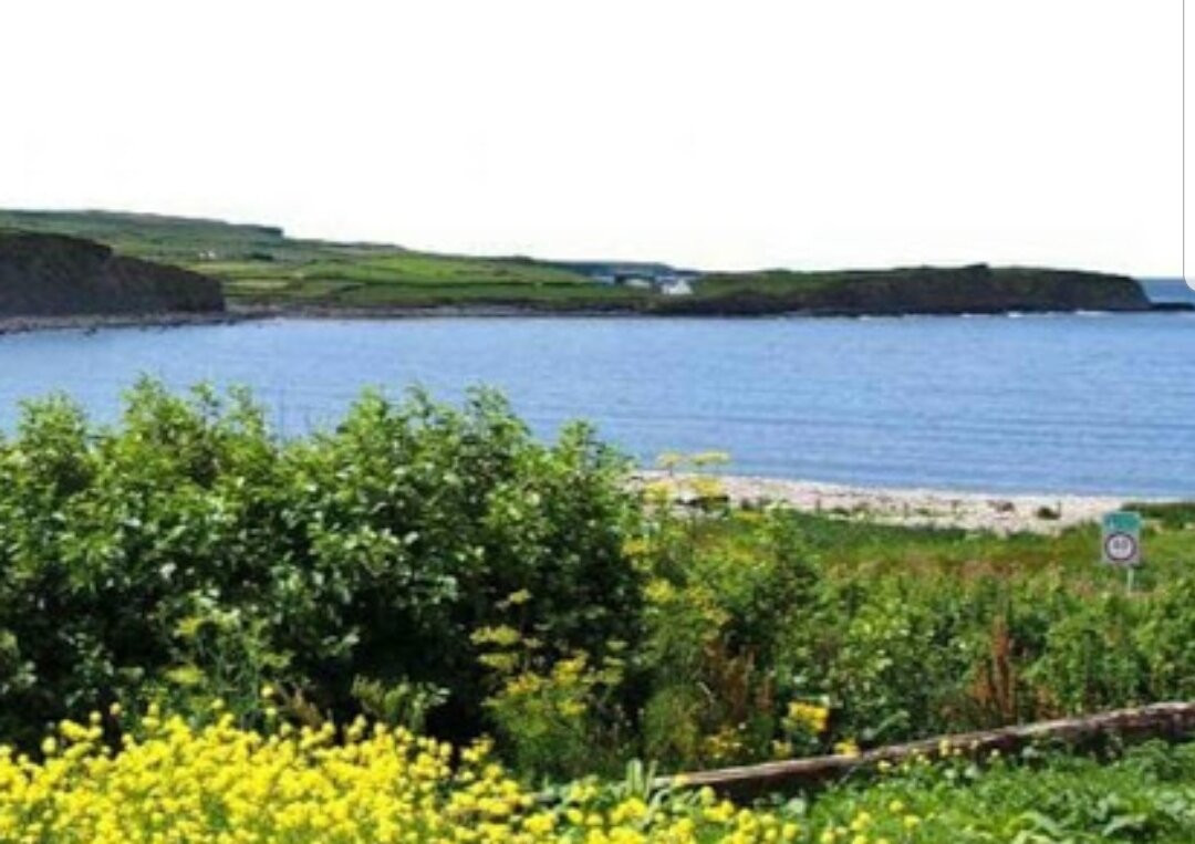 Wild Atlantic Lodge Bed & Breakfast