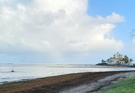 Palmas del Mar Beach景点图片